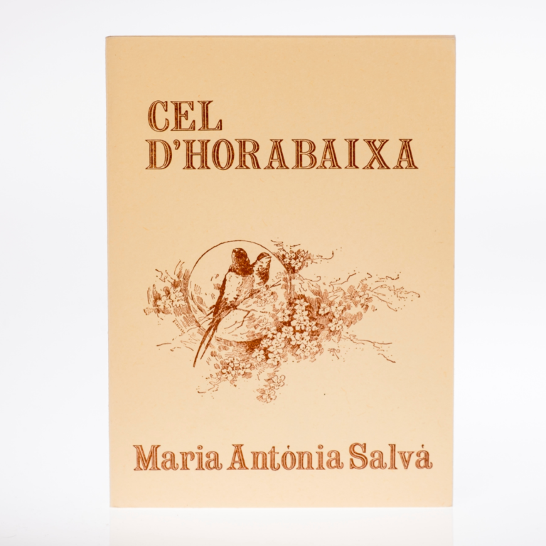 Llibre: "Cel d'horabaixa"
