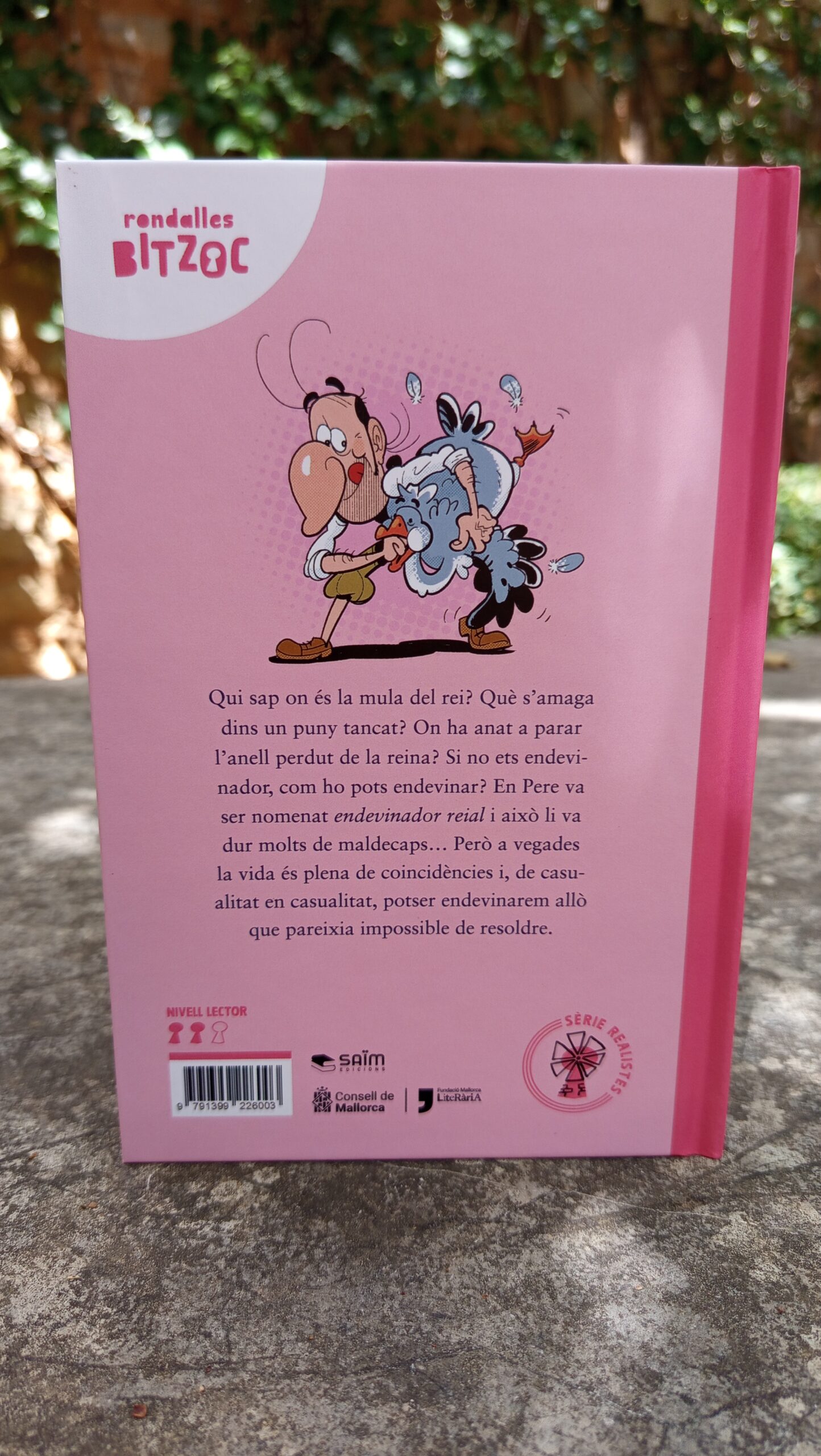 En Pere Gri - Imatge 2